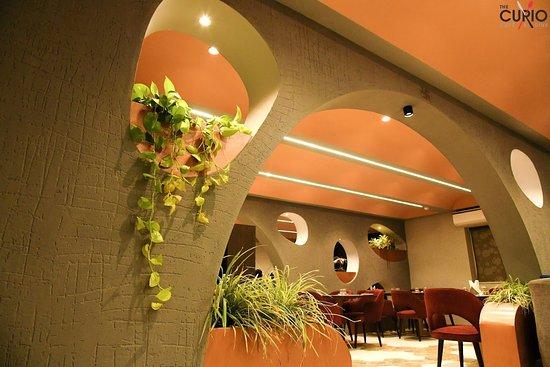 The Curio Cafe And Dine